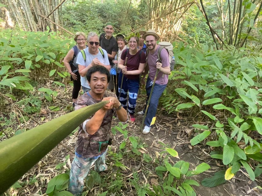 1 Day trekking : Chiang Rai popular activity,Fun in Nature. - A 9 a.m. pickup from central Chiang Rai