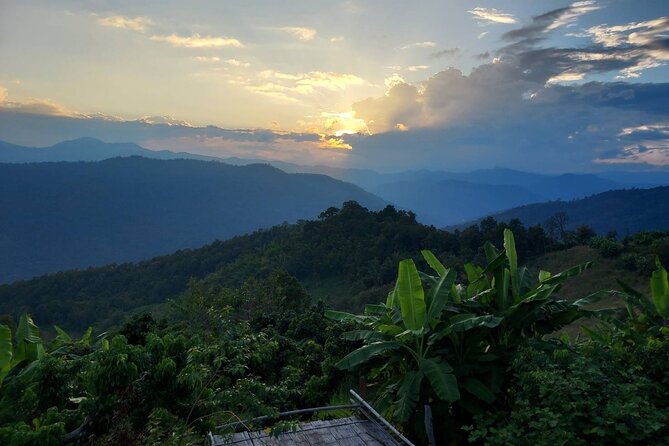 1 Day Trekking in Chiang Mai - Key points before you book
