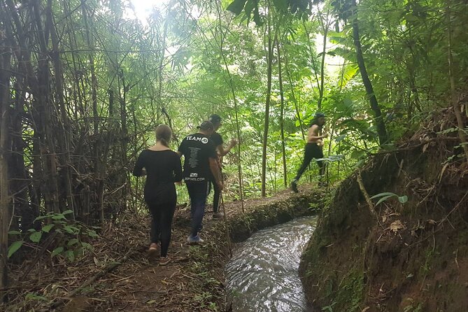 1 Day Trekking in Chiang Mai - Leaving Chiang Mai for the mountains at 8:00 am