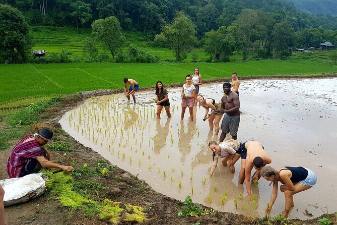 1 Day Trekking in Chiang Mai - Exploring the cave and reaching the waterfall