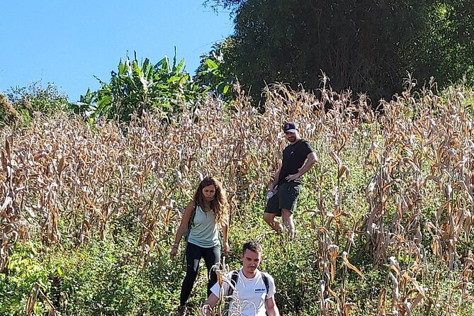 1 Day Trekking in Chiang Mai - Visiting a local hilltribe village