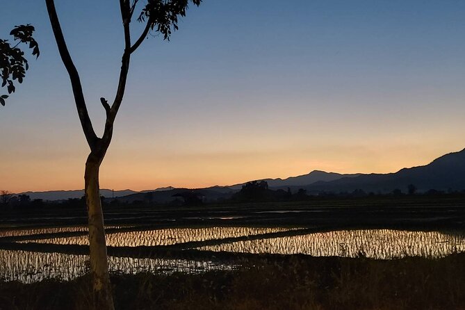 1 Day Trekking in Chiang Mai - A private day instead of a standard group excursion