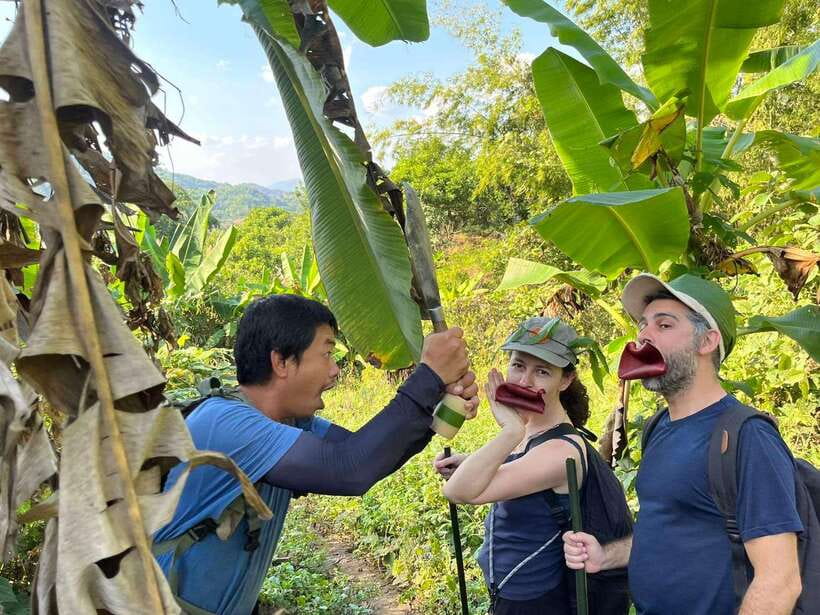 1 Day Trekking in Chiang Rai forest (walk only) - Key points at a glance