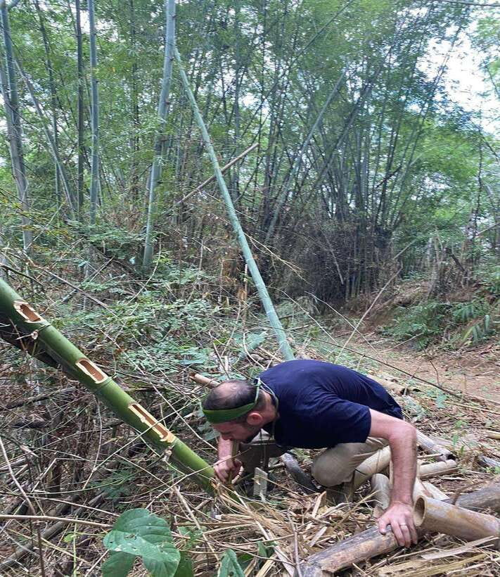 1 Day Trekking in Chiang Rai forest (walk only) - Bamboo cooking in the forest
