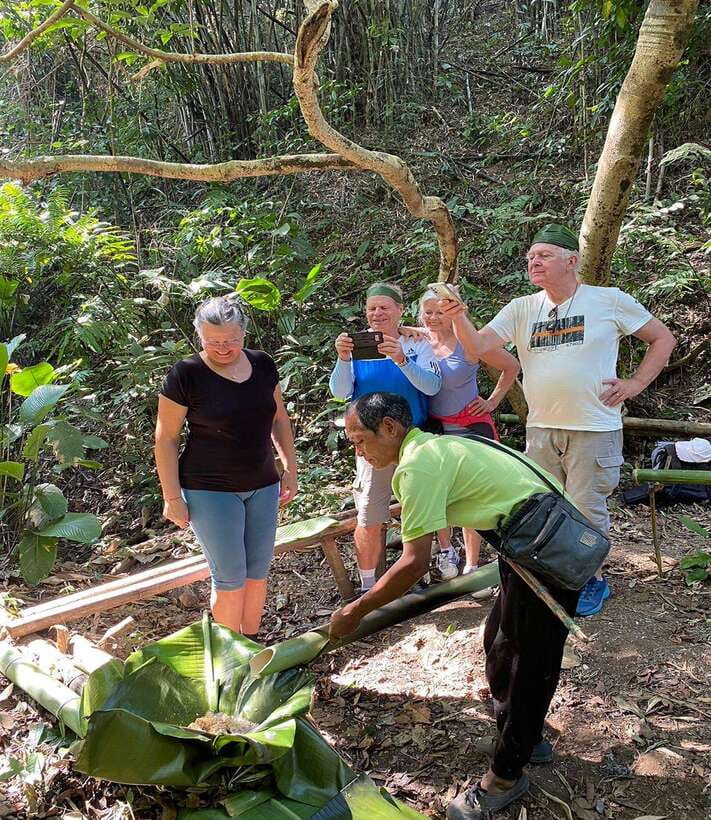 1 Day Trekking in Chiang Rai forest (walk only) - Chinese village, tea plantations, and the return