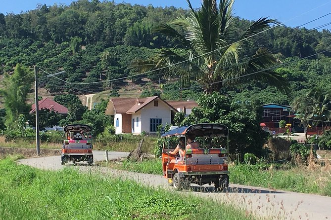 11 Day Tuk Tuk Adventure in Northern Thailand - Day 2: Elephants and bamboo rafting