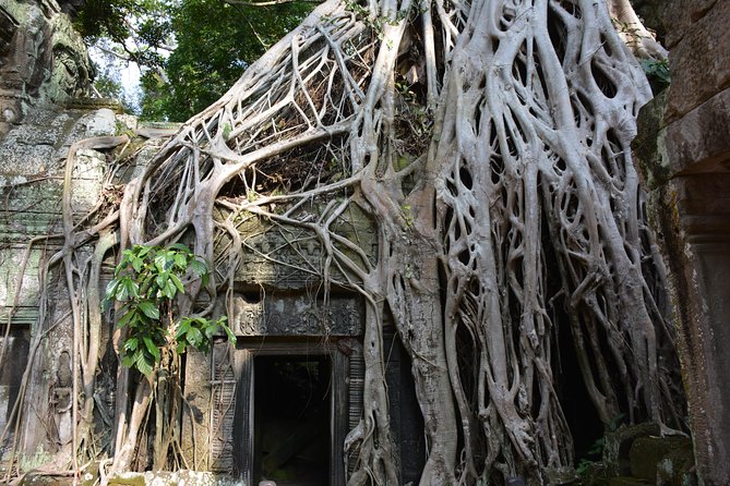 2-Day Angkor Wat Tour from Bangkok - Arriving in Siem Reap and visiting Tonle Sap