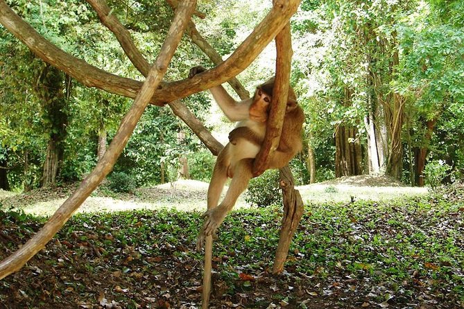 2-Day Angkor Wat Tour from Bangkok - Your Siem Reap hotel night and breakfast
