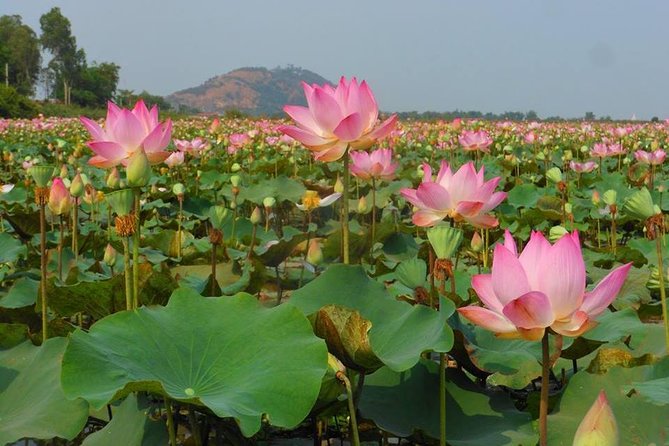 2-Day Angkor Wat Tour from Bangkok - Angkor Wat before the heat