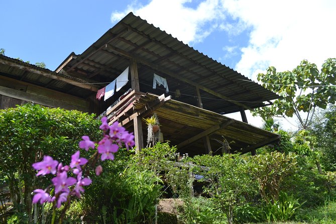 3-Day Chiang Dao Mountain Trek - Key points before you book