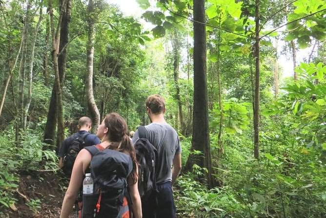 3-Day Chiang Dao Mountain Trek - What the homestays are really like