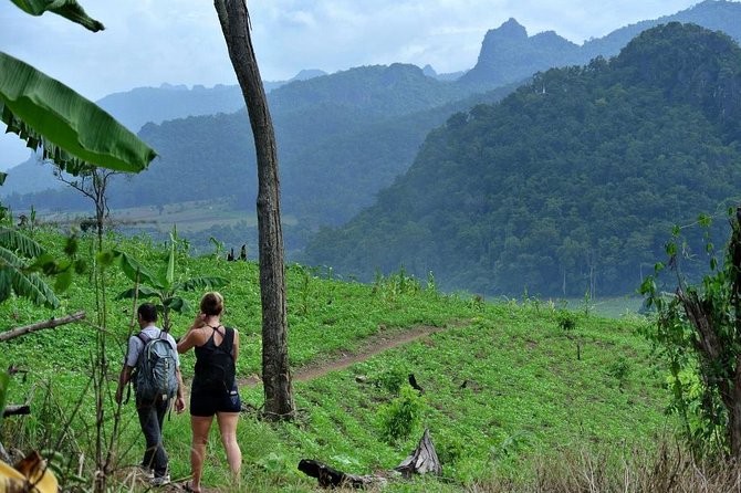3-Day Chiang Dao Mountain Trek - Day three: downhill to the Maetang River valley