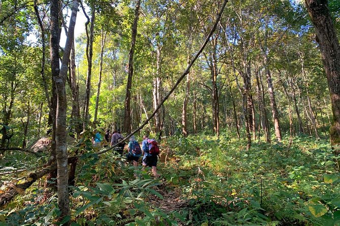 3-Day Chiang Dao Mountain Trek - The guides: a central part of the value
