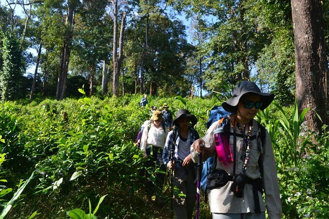 3-Day Chiang Dao Mountain Trek - Fitness, packing, and practical preparation