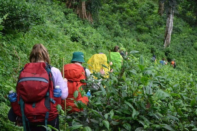 3 Day Motorcycle Tour (Mae Hong Son Loop) from Chiang Mai, Thailand - Should you book the Mae Hong Son Loop tour?