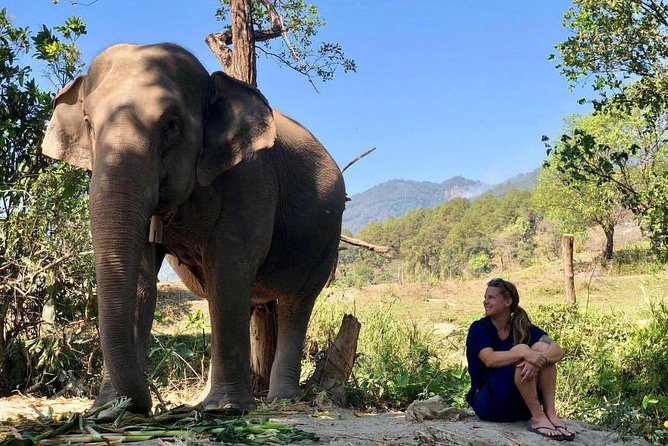 3-in-1: Doi Inthanon Tour, Elephant Sanctuary, and Trekking Trail - The King and Queen Pagodas
