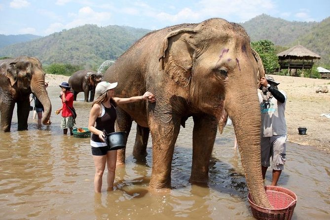 3D2NTrek Adventure at Chiang Mai Mea Wang Including Overnight at Karen Hilltribe - Day 2: A full walking day and a waterfall swim
