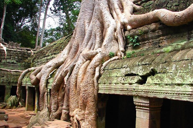 4 Days Expedition From Bangkok to Angkor Wat - Your Siem Reap hotel and evening options
