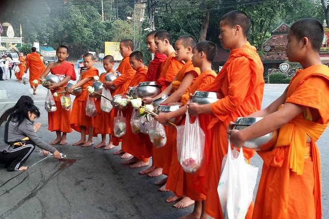 4 highlights: Sticky Waterfall/Elephants/local market /Wat Banden - Guides are the main reason this tour works