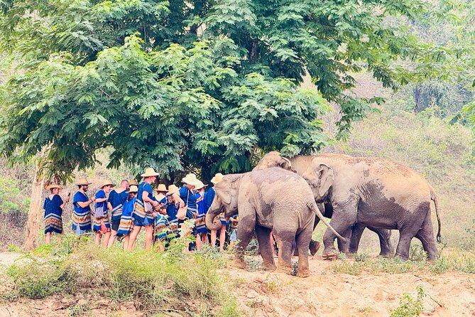 4 in 1 Elephants Long Neck Rafting and Sticky Waterfall Tour - Who should book this day