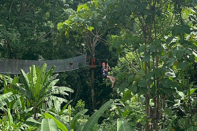 7 Hour Sticky Waterfall and Zipline Adventure - Why this Chiang Mai day feels different
