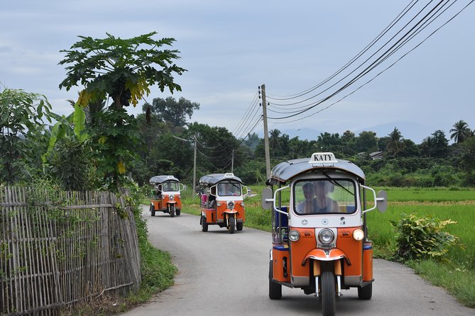 A stunning 11 Day Tuk Tuk Adventure in Northern Thailand - with driver - Key points to know before booking