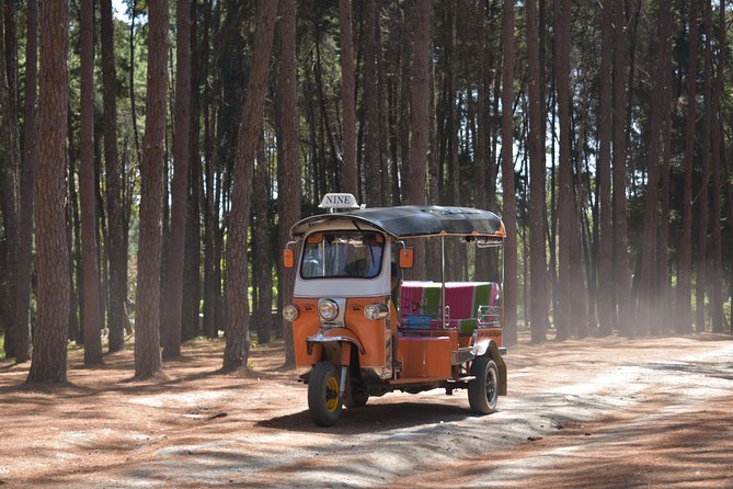 A stunning 11 Day Tuk Tuk Adventure in Northern Thailand - with driver - Day 8: Lod Cave and the road to Pai