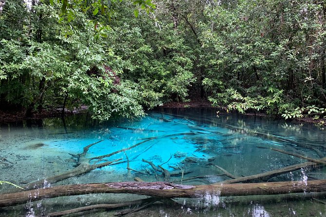 All day Krabi Jungle Tour (Hot Spring Water, Emerald Pool, Tiger Cave Temple) - Who Should Book This Day?