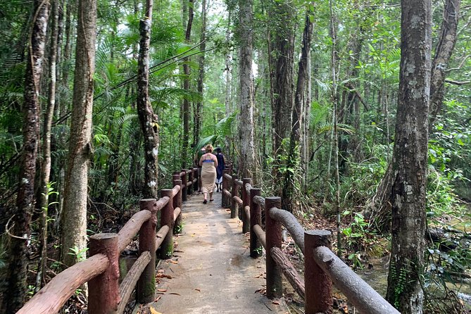 All day Krabi Jungle Tour (Hot Spring Water, Emerald Pool, Tiger Cave Temple) - Walking the Rainforest to Emerald Pool