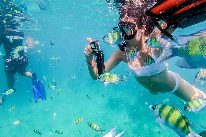 All-in Phi Phi, Maiton, MayaBay, Khai, Bamboo islands Tour - What you are paying for at $74.95