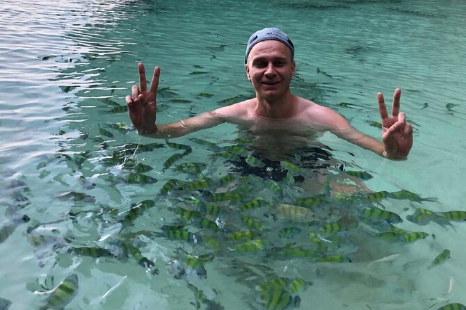 All-in Phi Phi, Maiton, MayaBay, Khai, Bamboo islands Tour - Monkey Beach and the macaques
