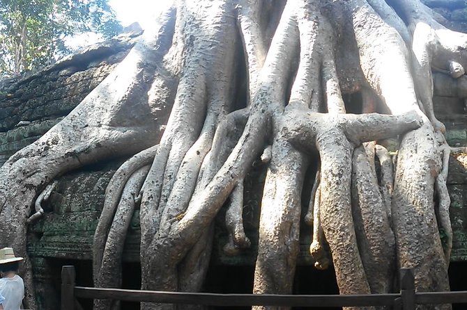 Angkor Wat 3-Day Tour from Bangkok - Day two: Angkor Wat and the temple circuit