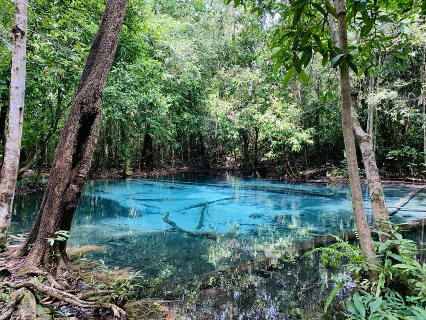 Ao Nang: Hot Spring, Emerald Pool & Tiger Cave Temple Tour - Emerald Pool and the jungle nature trail