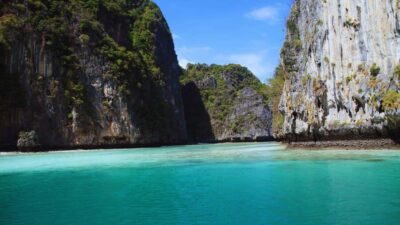 Phi Phi Islands Speedboat or Catamaran Tour One day
