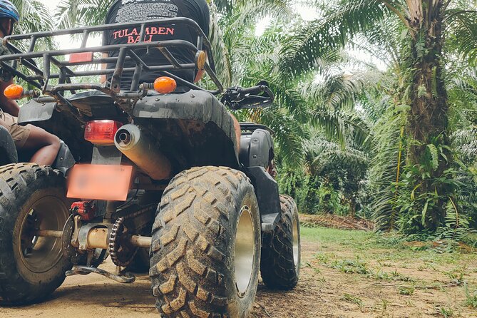 ATV Ride and Lampi Waterfall - Hotel transfers make the half-day format useful