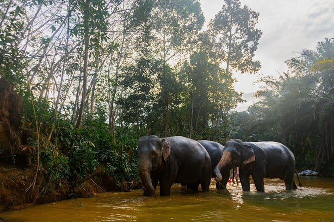 ATV Ride Through Mountain and Waterfall Trails in Khao Lak - Is $42.18 good value?