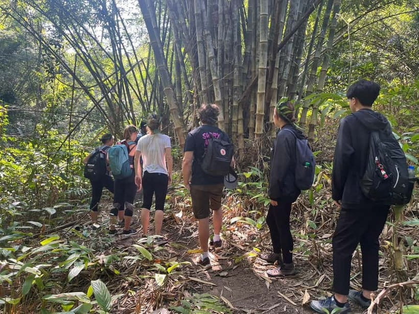 Authentic trek only walk in Chiang Rai jungle - Why This Chiang Rai Trek Feels Different