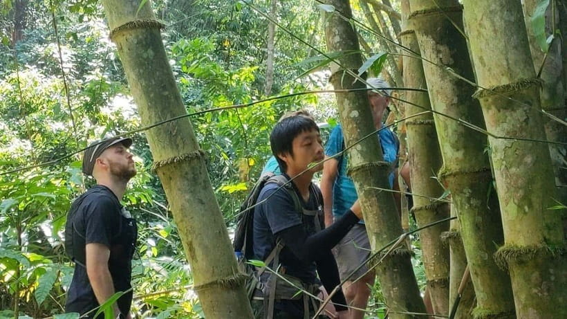 Authentic trek only walk in Chiang Rai jungle - Tea Plantations and Open Views