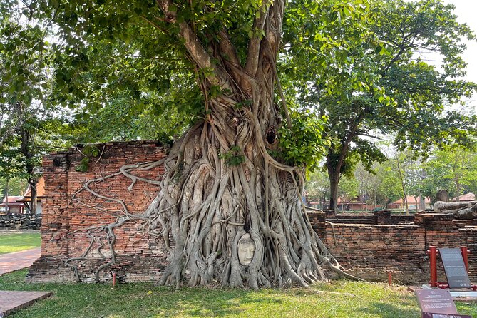 Ayutthaya Historical Old Capital day Tour from Bangkok - Wat Mahathat and the famous Buddha head