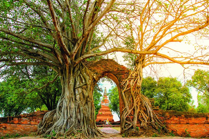 Ayutthaya Sunset Boat & UNESCO Temples: Multi-language private tour from Bangkok - Wihan Phra Mongkhon Bophit and one of Thailand’s largest bronze Buddhas