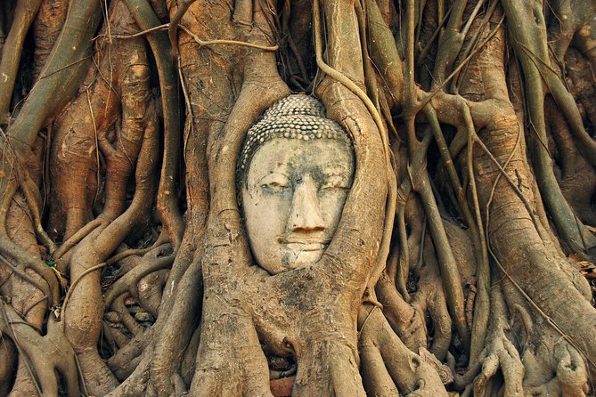 Ayutthaya Sunset Tour: UNESCO Temples & Peaceful River Cruise - Wat Mahathat and the Buddha in the roots