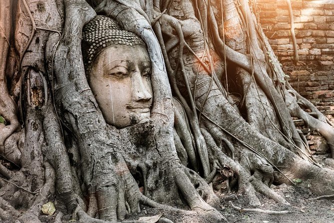 Ayutthaya Temples and Ayothaya Floating Market From Bangkok - Wat Mahathat and the famous Buddha image