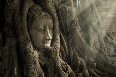 Ayutthaya Temples and River Cruise from Bangkok