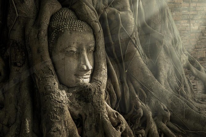 Ayutthaya Temples and River Cruise from Bangkok - Wat Mahathat and the Buddha in the roots