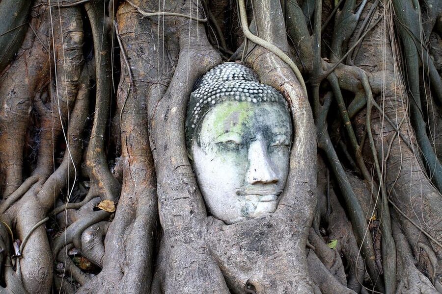 Bangkok: Audio guides for Bangkok, Ayutthaya & Chiang Mai - Cancellation and access details