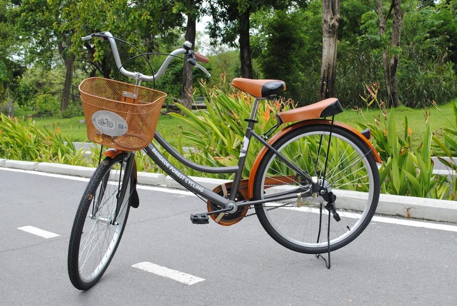 Bangkok Bicycle rental Benjakitti Park - Should you book it?