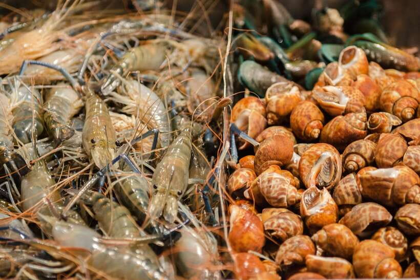 Bangkok: Chinatown Night Food Tour - Street food, restaurants, and the value of local guidance