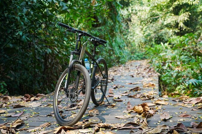 Bangkok Green Oasis Nature Bike Tour - Sri Nakhon Khuean Khan Park and Botanical Garden