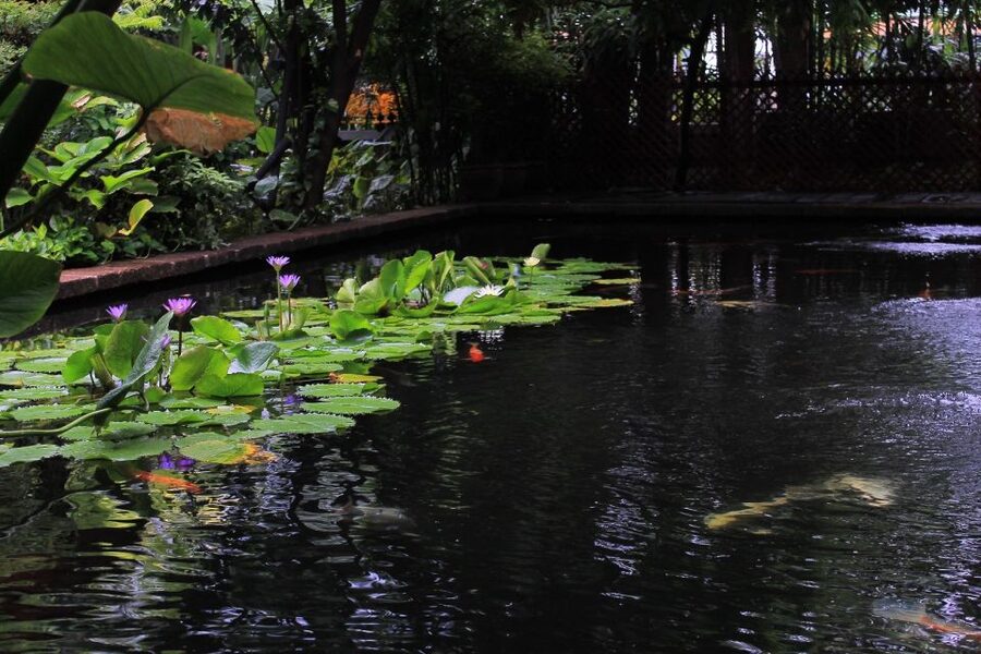 Bangkok: Jim Thompson House and Baan Krua Community Tour - From a famous brand back to its source