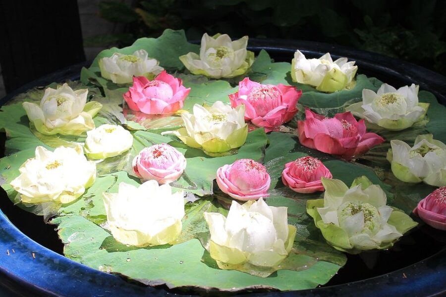 Bangkok: Jim Thompson House and Baan Krua Community Tour - What the four-hour schedule feels like